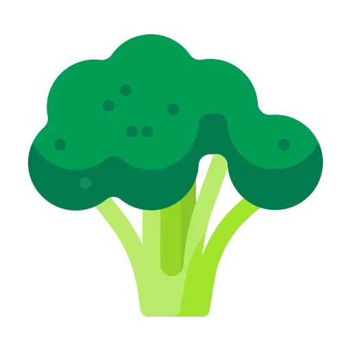 VEGETABLES AND FRUITS